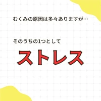画像297