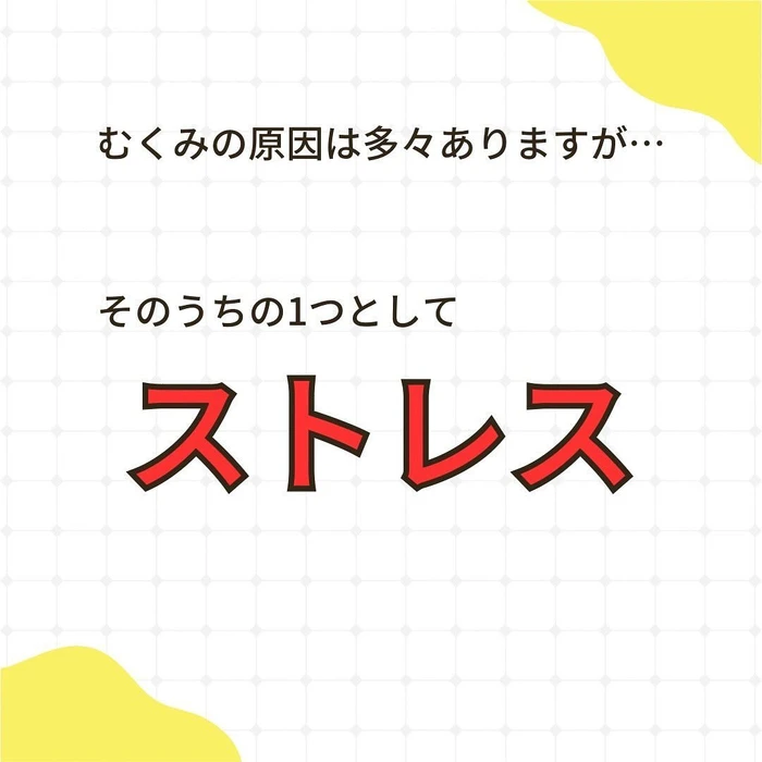 画像297