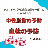 画像337